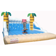 inflatable sports games for amusement